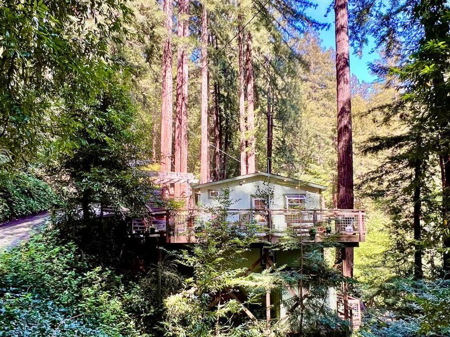 Cozy Cabin In Redwoods With Hot Tub Guerneville Exterior photo